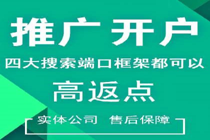 SEM竞价案例分析：提升广告投放效果